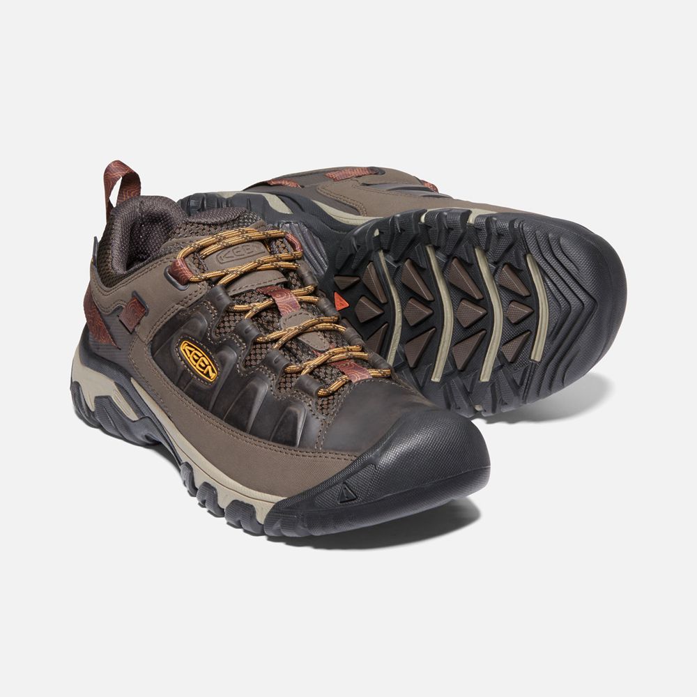 Keen Wandelschoenen Heren Bruin/Oranje - Targhee Iii Waterproof - 85041-JMDH